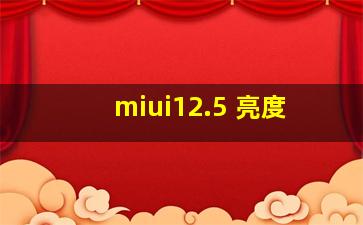 miui12.5 亮度